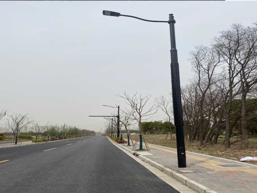 全州县上海综合杆 太阳能路灯工程